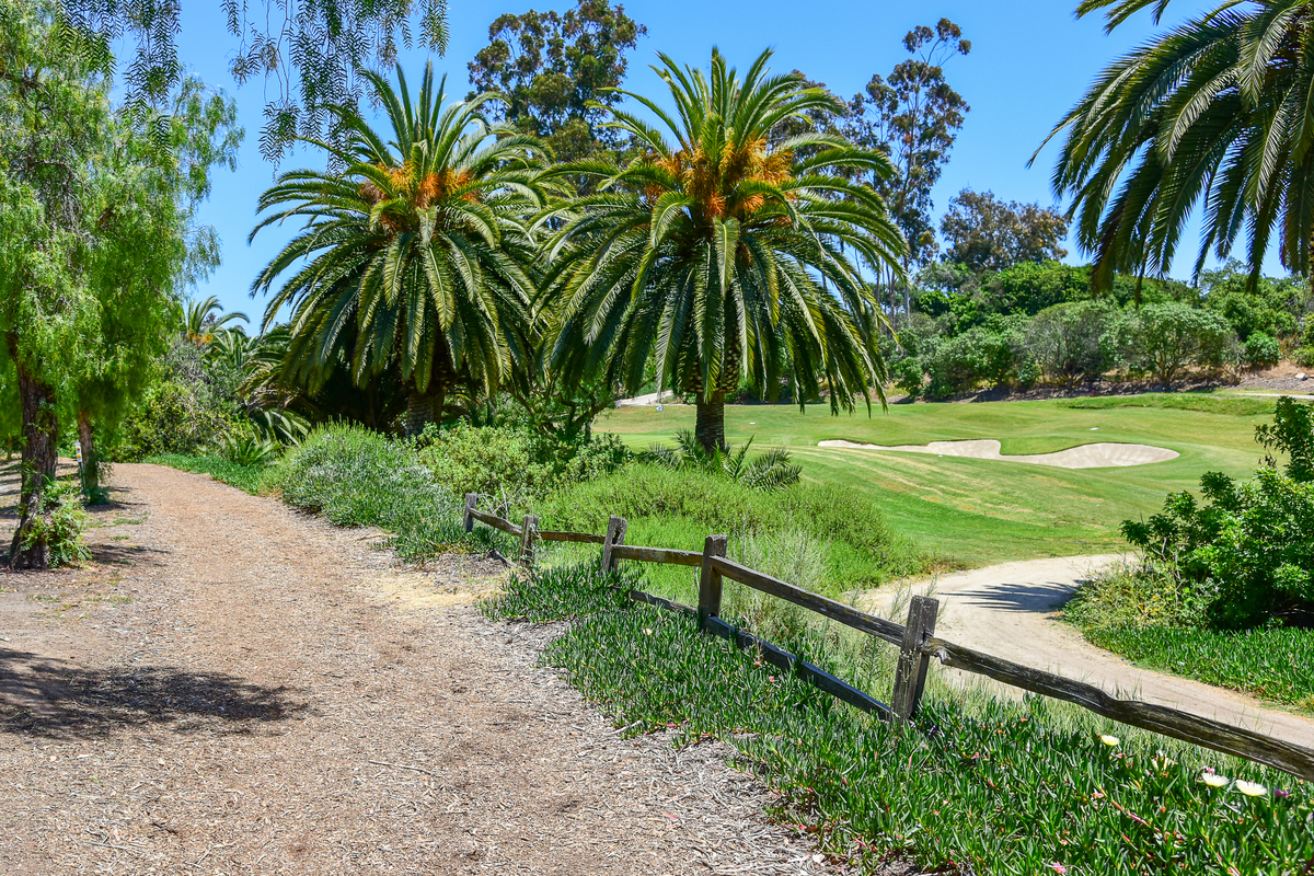 #11--10_9438390_17233_Via_Recanto_Barn__26_Trail_4000px_5RST_2221