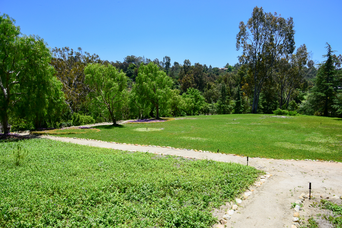 #16--15_9438395_17233_Via_Recanto_Barn__26_Trail_4000px_16RST_2234