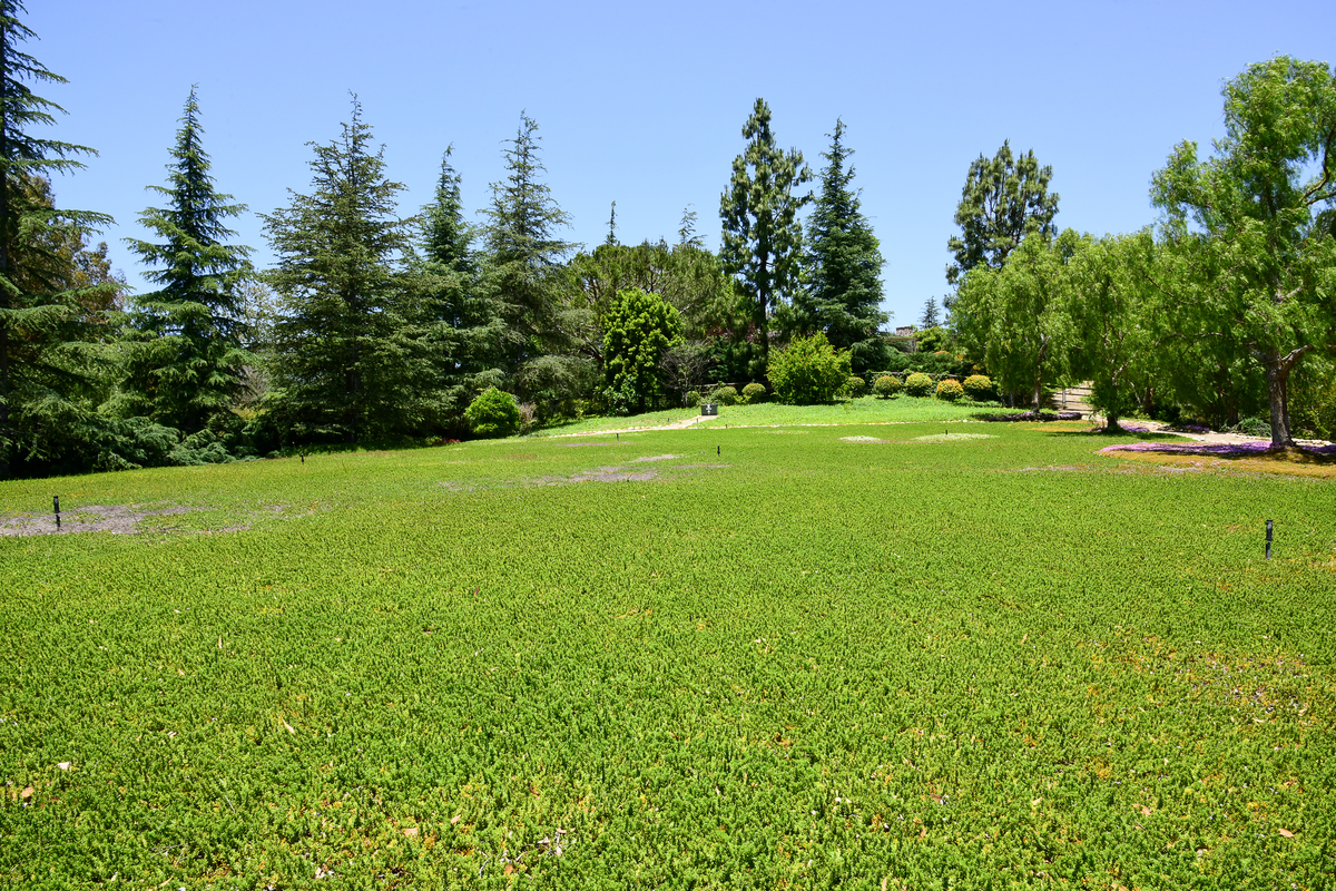 #17--16_9438396_17233_Via_Recanto_Barn__26_Trail_4000px_17RST_2232