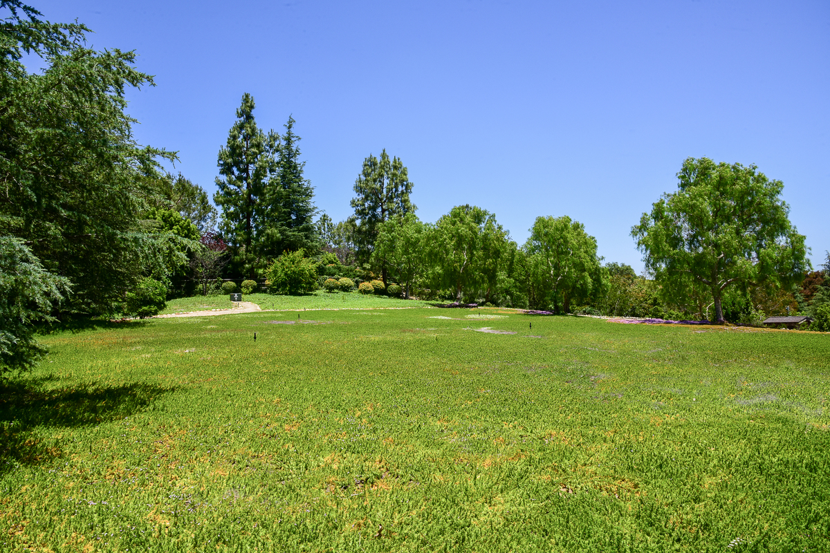 #18--17_9438397_17233_Via_Recanto_Barn__26_Trail_4000px_18RST_2230